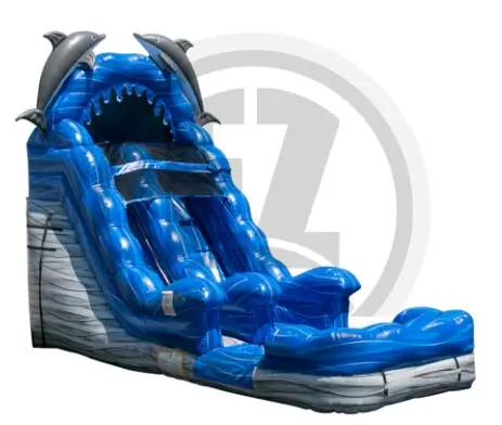 Dolphin Water Slide